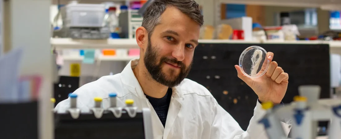 Artificial spider silk 2.0: Time for large-scale production of the “super fiber