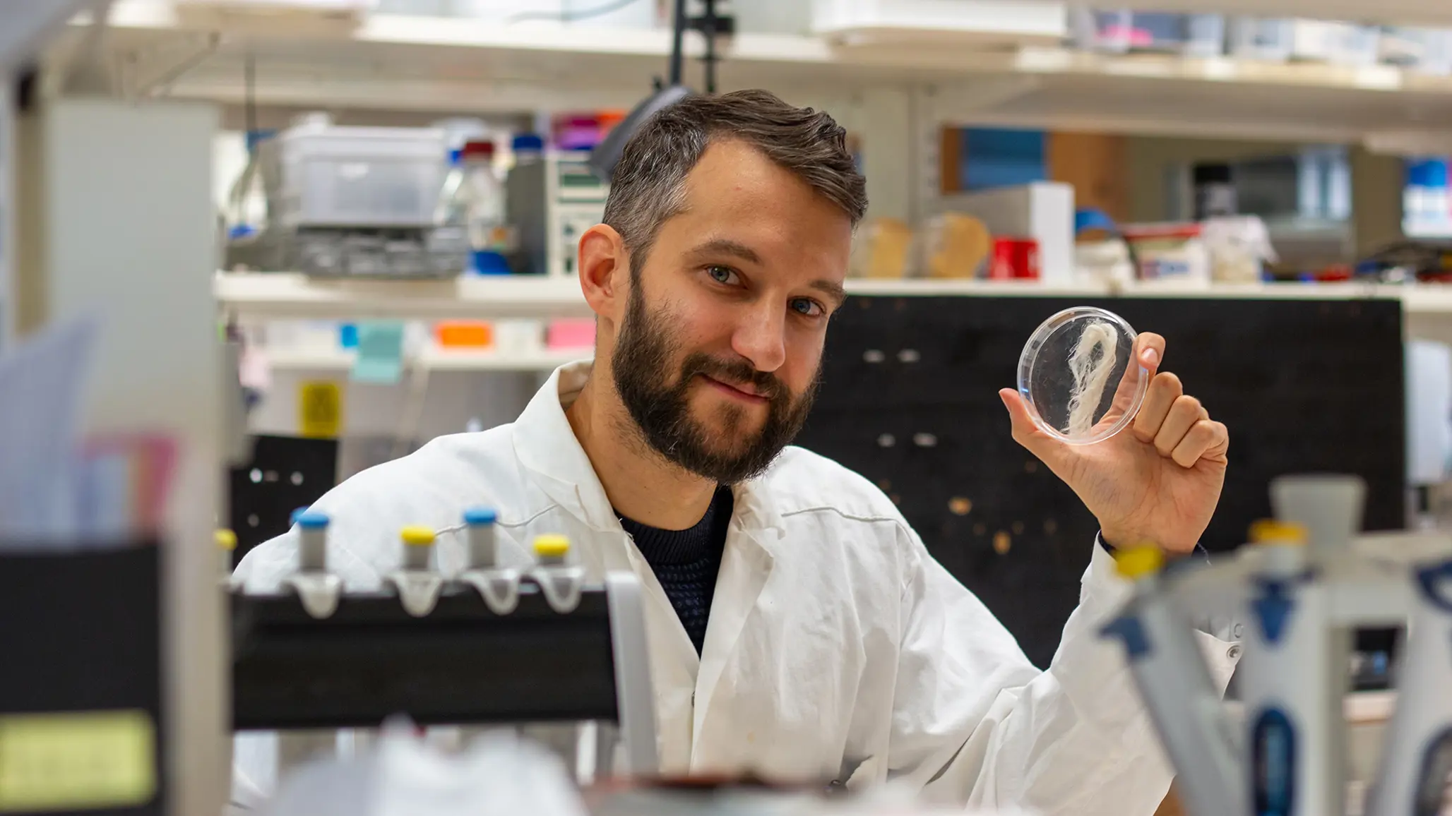 Artificial spider silk 2.0: Time for large-scale production of the “super fiber